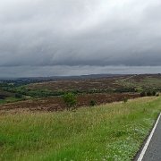 DSC02299