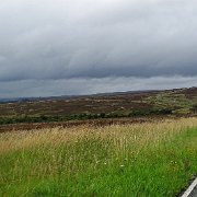 DSC02301