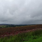 DSC02303