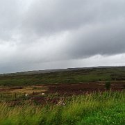 DSC02305