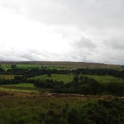 DSC02311