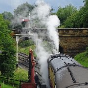 DSC02338