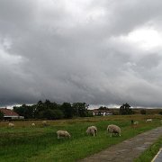 DSC02351