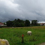 DSC02352