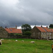 DSC02355