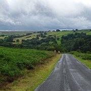 DSC02362