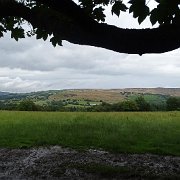 DSC02370