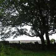 DSC02376