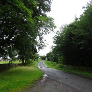 DSC02377