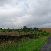DSC02379