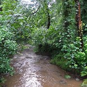 DSC02390