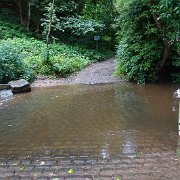 DSC02391