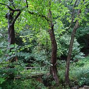 DSC02392