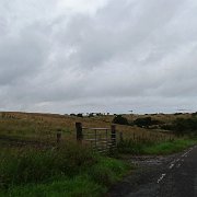 DSC02397