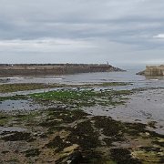 DSC02418