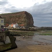 DSC02431