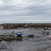 DSC02439