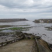 DSC02441