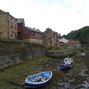 DSC02446