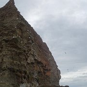 DSC02470