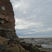 DSC02480