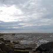 DSC02490