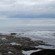 DSC02491