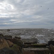 DSC02493