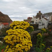 DSC02520