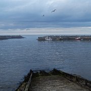 DSC02528