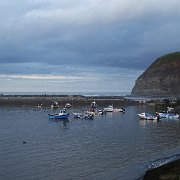 DSC02529