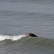 DSC02587