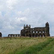 DSC02633