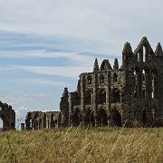 DSC02729