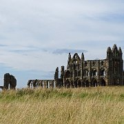 DSC02732