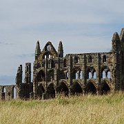 DSC02733