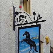 DSC02767
