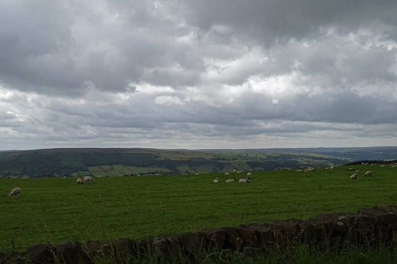 DSC02890