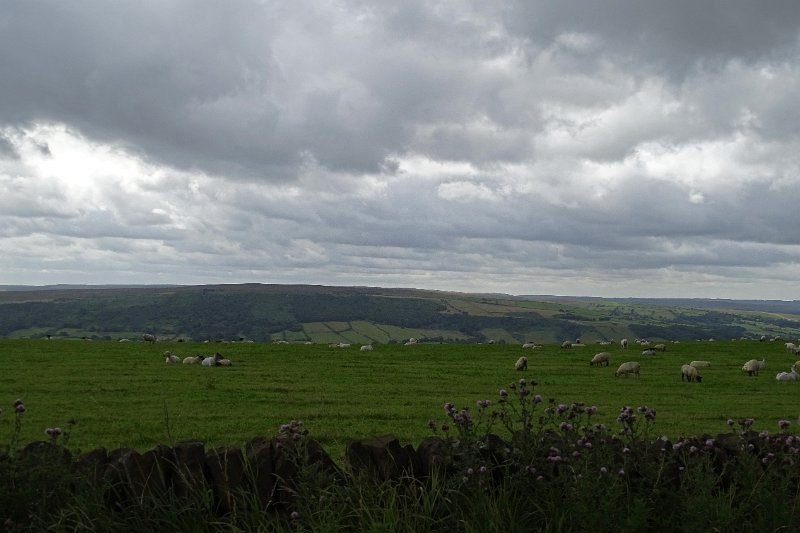 DSC02891