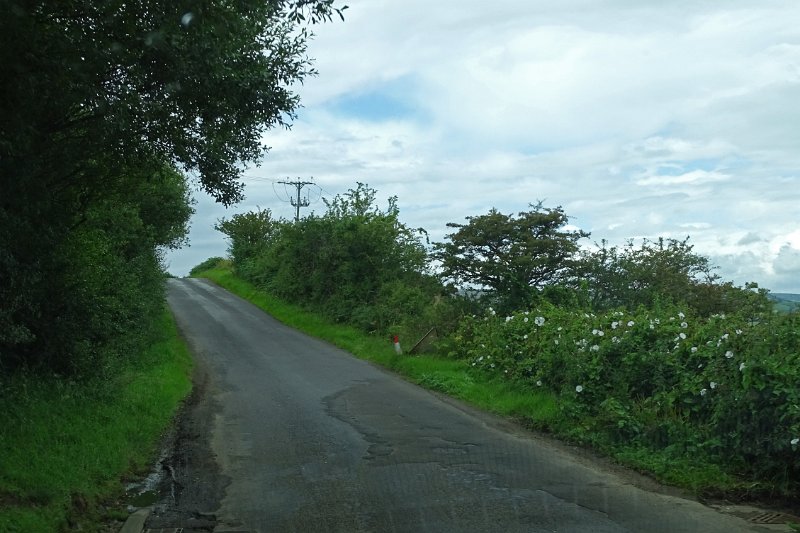 DSC02895