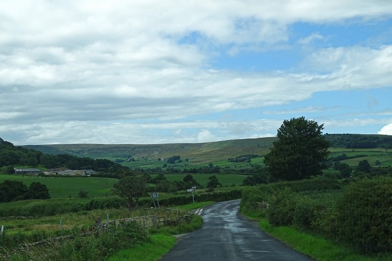 DSC02916