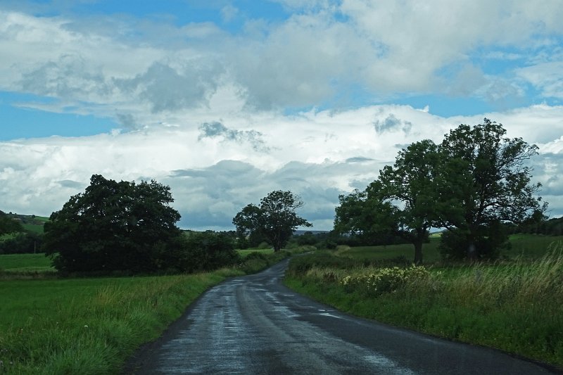 DSC02917