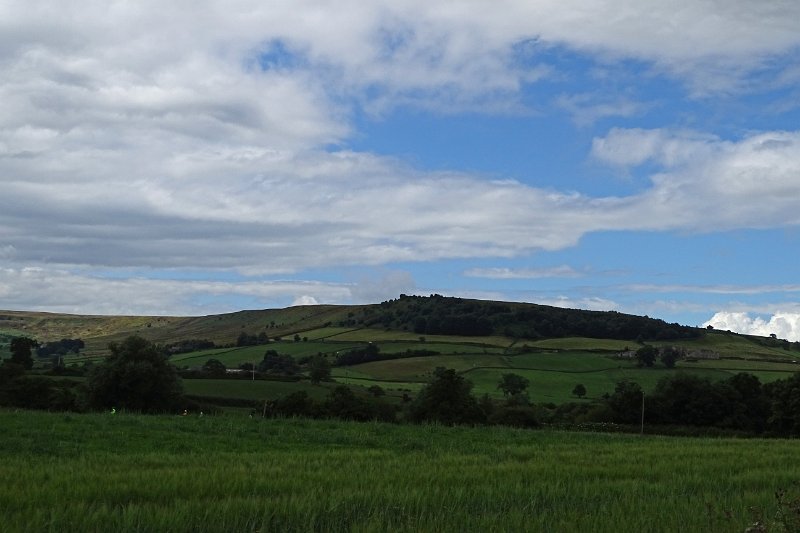 DSC02918