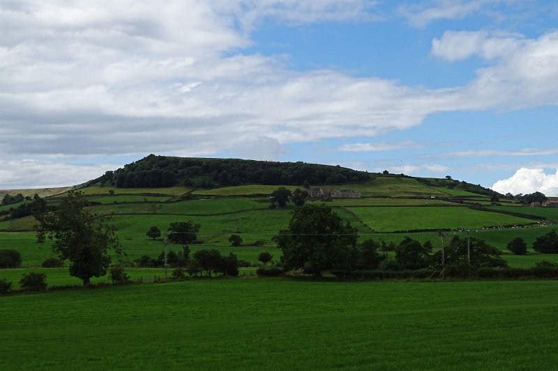 DSC02919