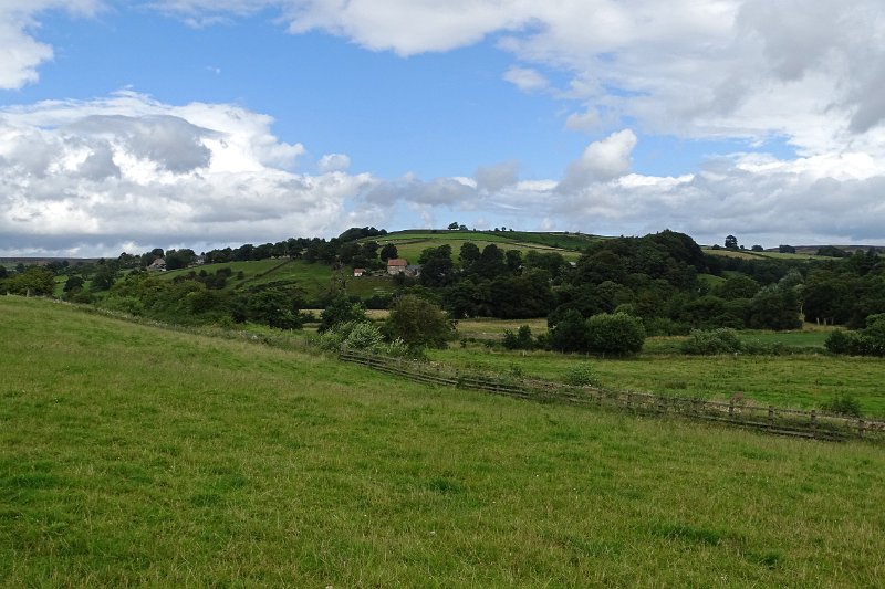 DSC02931