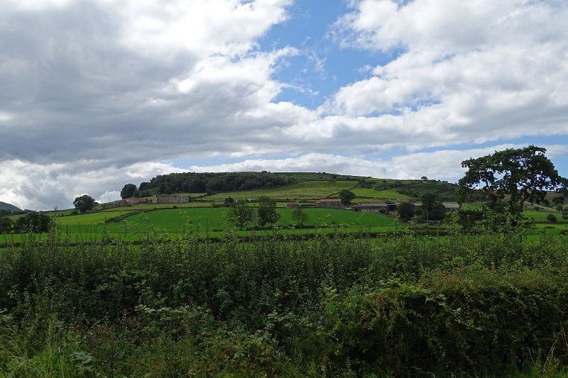 DSC02936