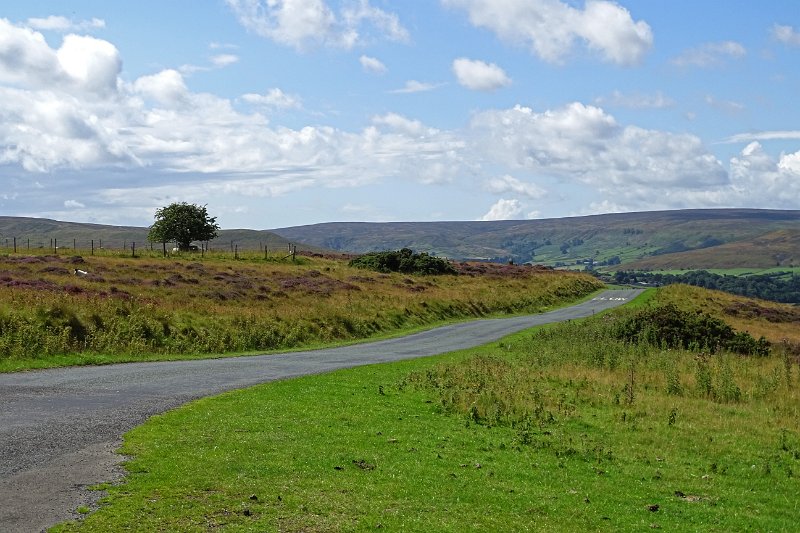 DSC02955