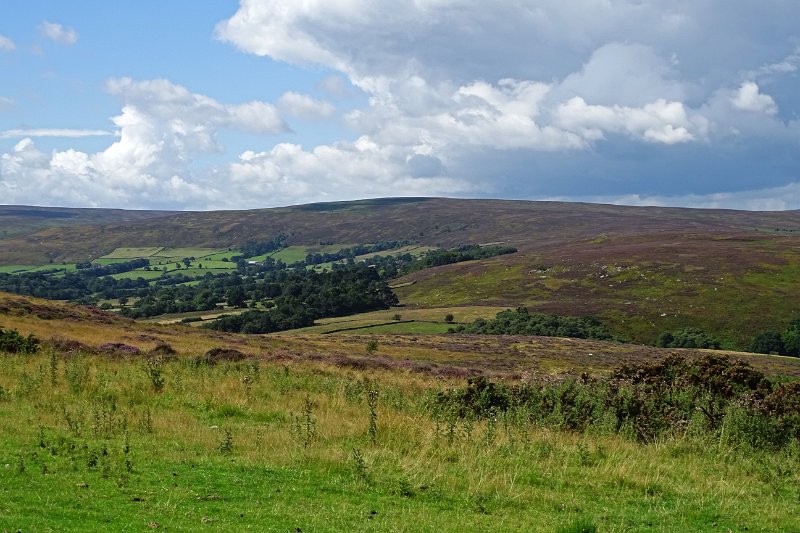 DSC02956