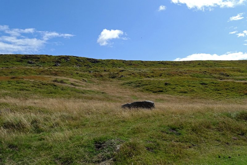 DSC02960