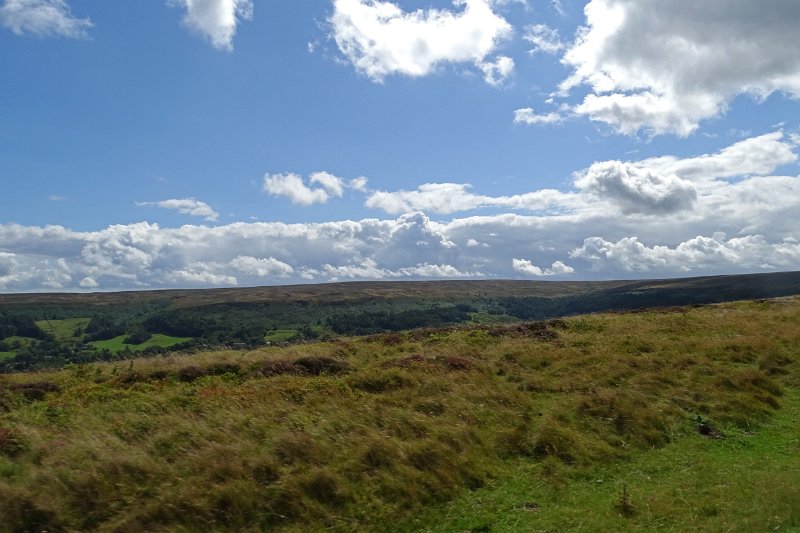 DSC02975